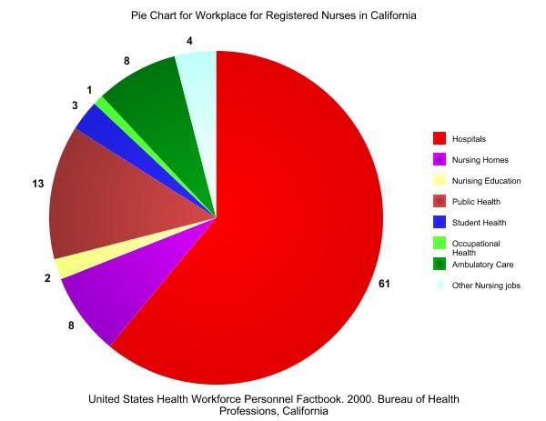 Phuong Khuong: Pie Chart for Workplaces for Registered Nurses in ...