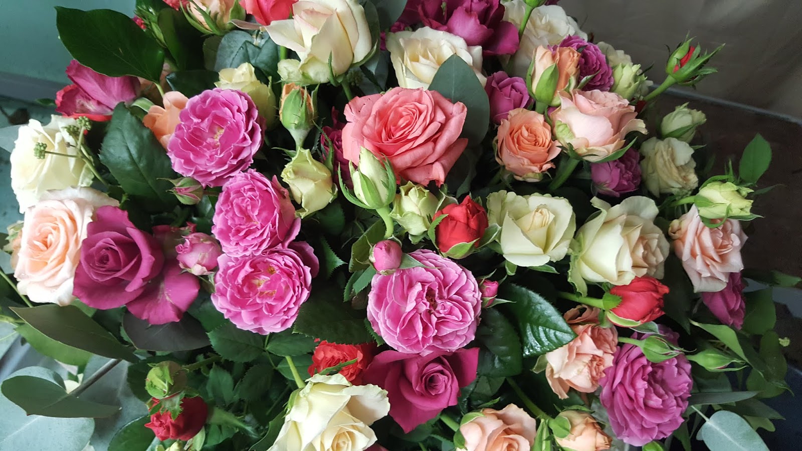 Des Magnolias Sur Ma Voie Lactee Juillet 2017