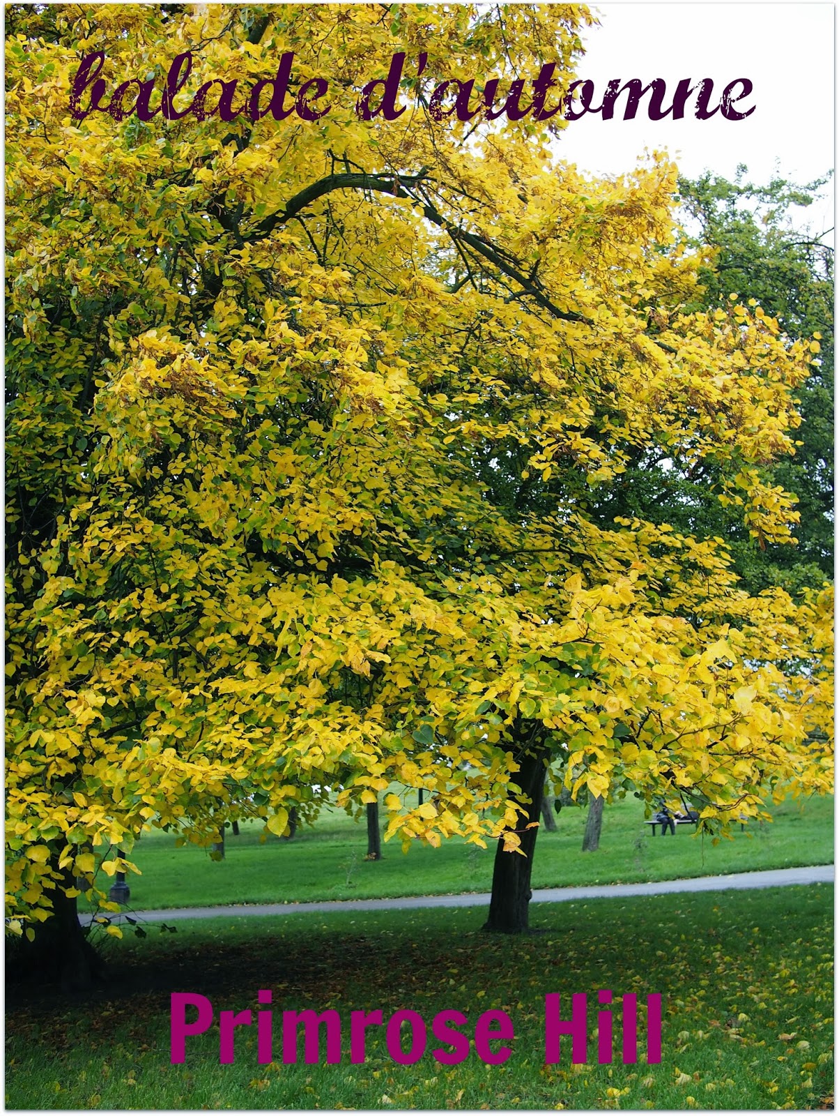 Living in London Balade à Primrose Hill...