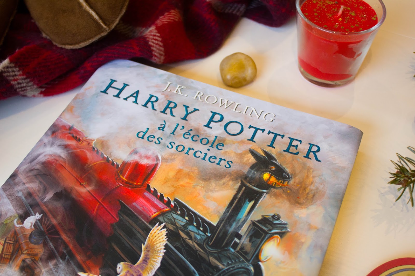 Harry Potter Illustré par Jim Kay La bibliothèque de Coeur Cannelle Harry Potter Illustré par Jim Kay La bibliothèque de Coeur Cannelle