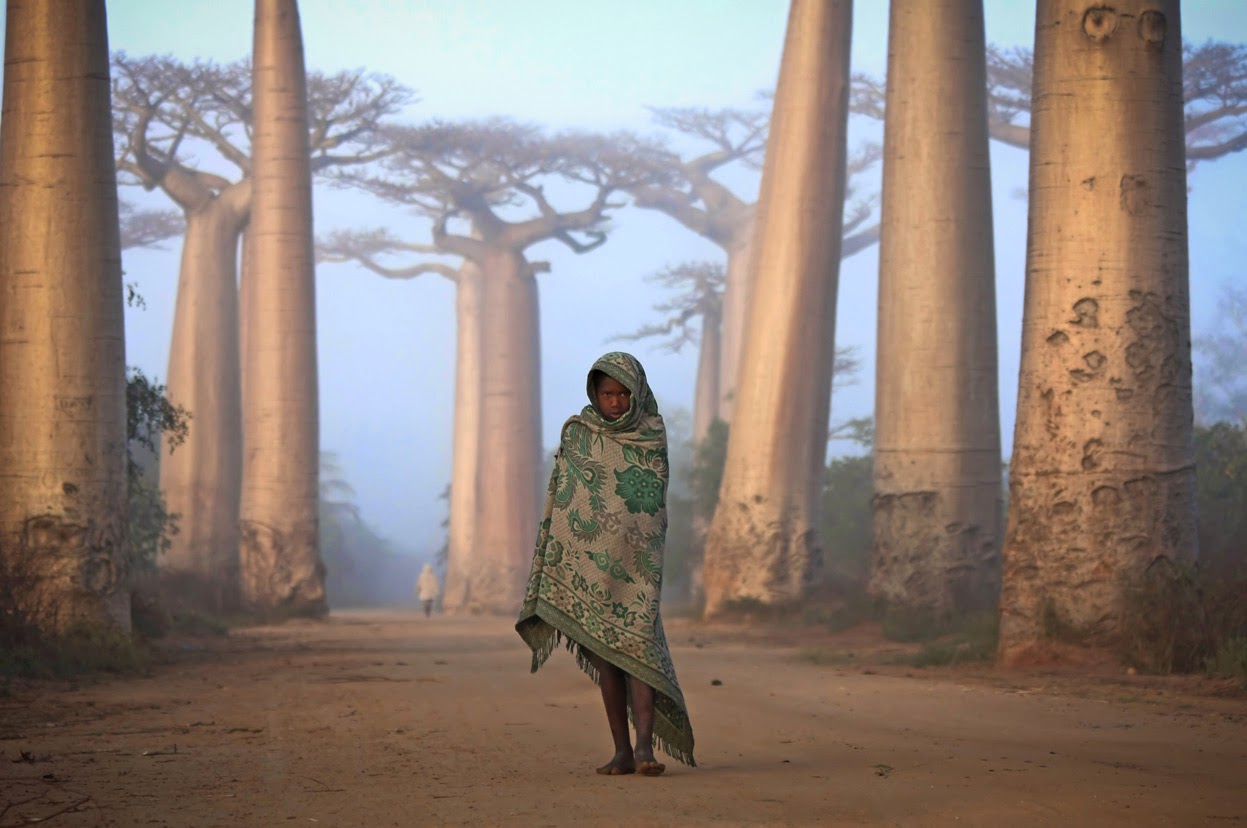 MALAGASY GIRL WALKS AMONG THE BAOBAB TREES - 29 Breathtaking Photographs of The Human Race