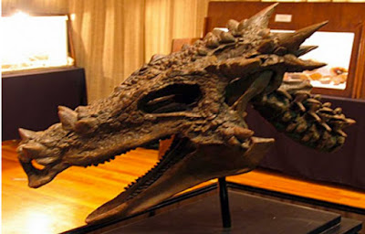 dragon - Dracorex Hogwartsia: El cráneo intacto de un dragón descubierto en Norteamérica Dracorex%2BHogwartsia