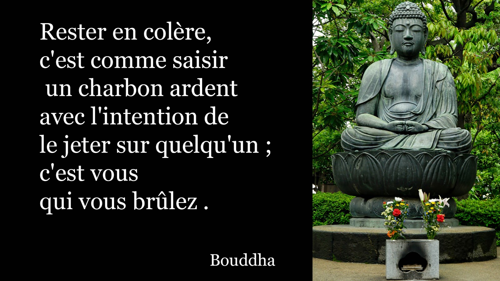 . Citation de Bouddha . Citation de Bouddha