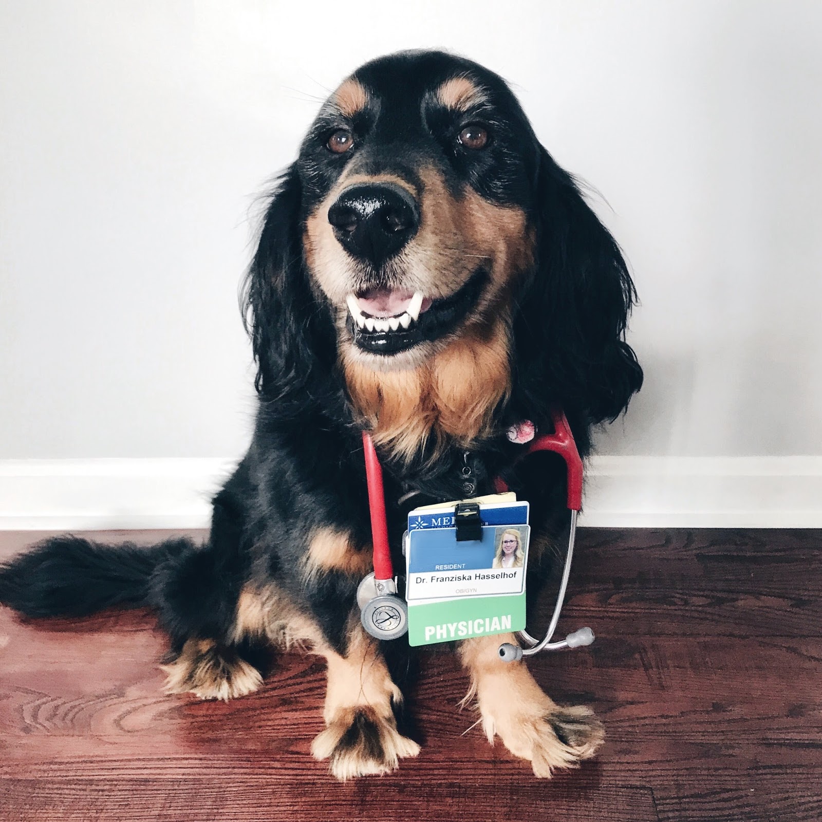 Franish having a dog in medical school & residency