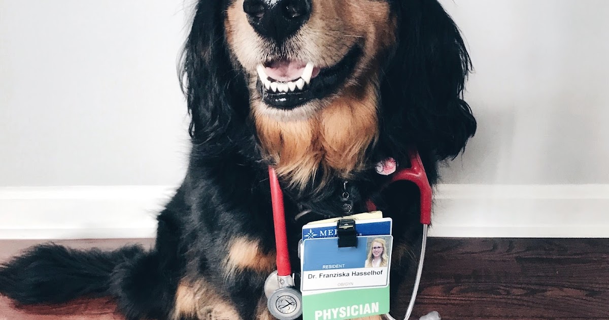 Franish having a dog in medical school & residency