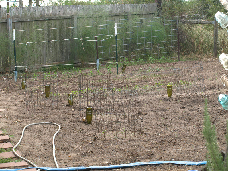 Cackleberry Cottage: November 2012