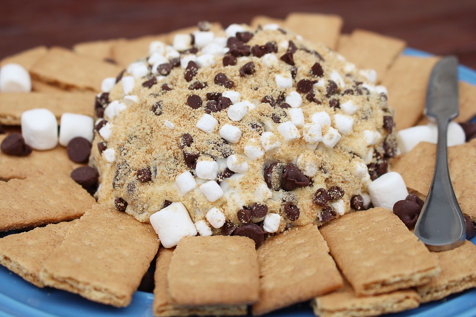 Kylee's Kitchen S'mores Dessert Cheese Ball