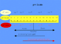 Cara Hitung pH dan pOH larutan Asam Basa