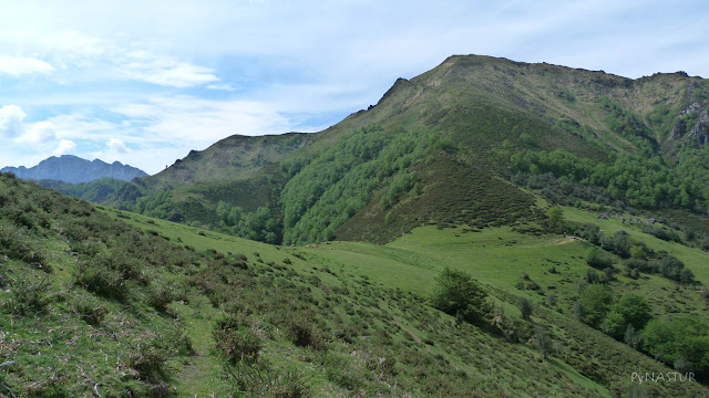 Collao Traslafuente con el Pico Maoño - Piloña y Parque Natural de Ponga Collao Traslafuente con el Pico Maoño - Piloña y Parque Natural de Ponga