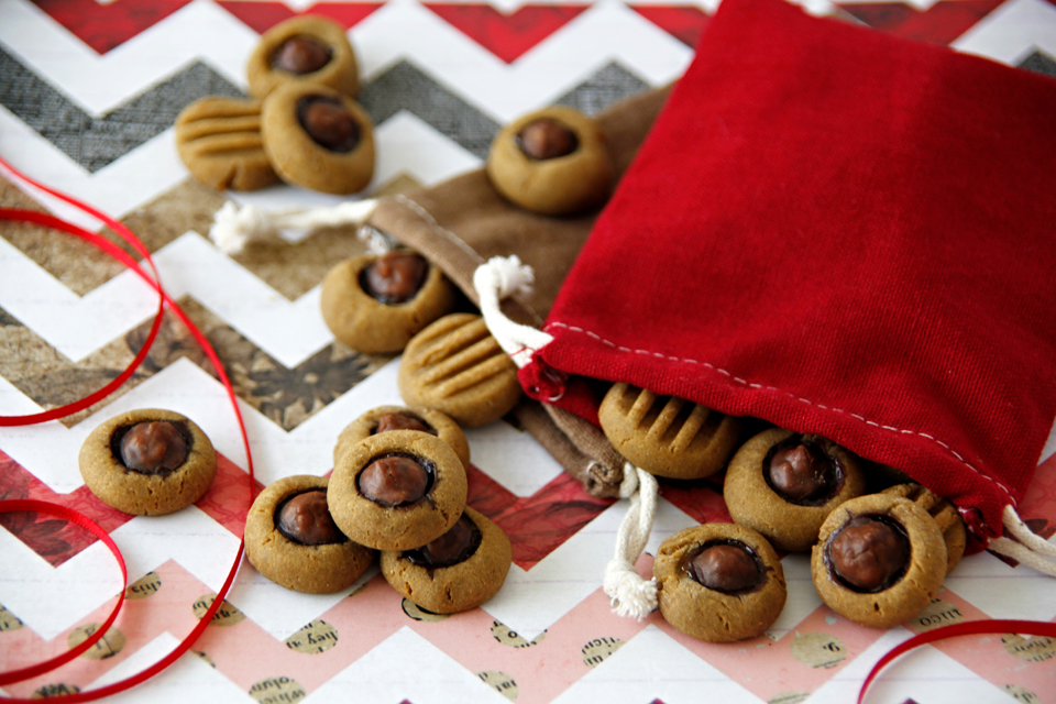 Dalmatian DIY {RECIPE} Harvest Pumpkin Dog Truffle Treats