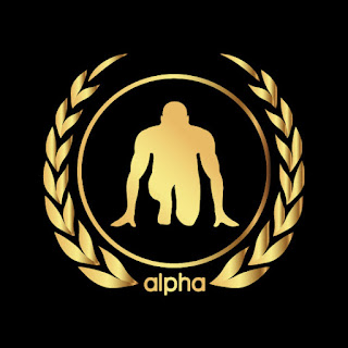alpha fitt logo