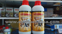 agen-nasa-waelata-buru-085232128980 agen-nasa-waelata-buru-085232128980
