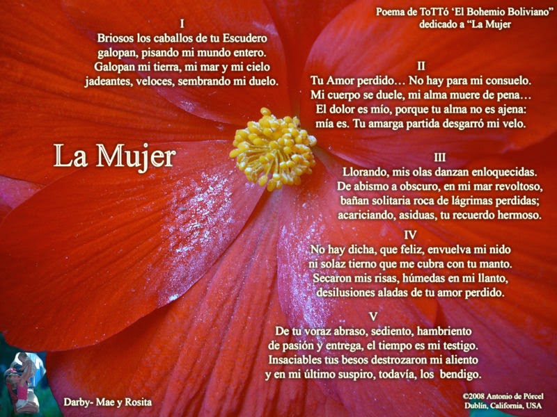 Imágenes con mensajes para el Día de la mujer, cartas, carteles, frases, poemas y poesías hermosas