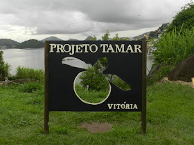 Projeto Tamar em Vitória (ES)