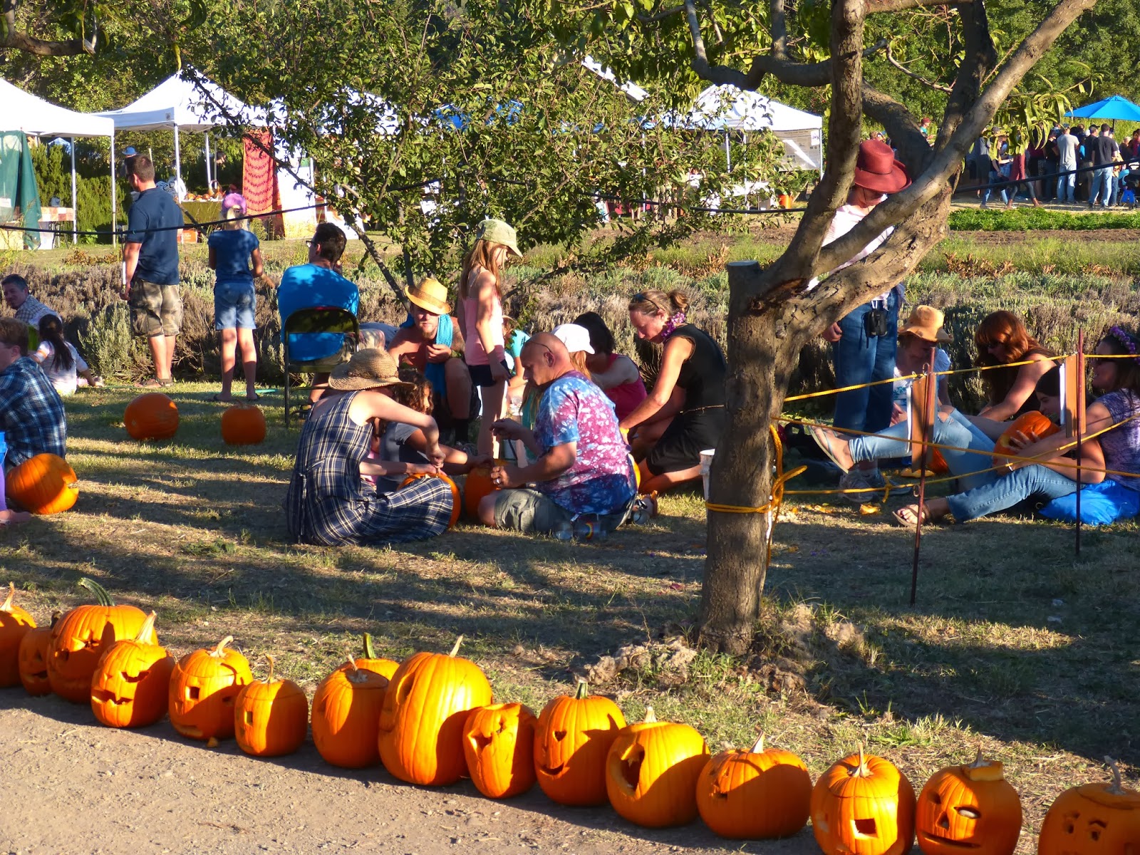 Notre tour à nous The Hoes Down Harvest Festival