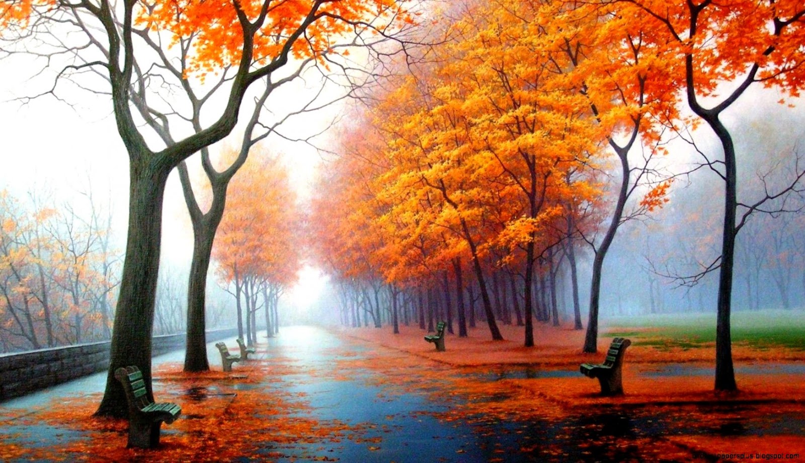 Foggy Fall Landscape