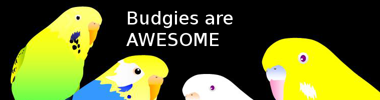 Budgies are Awesome