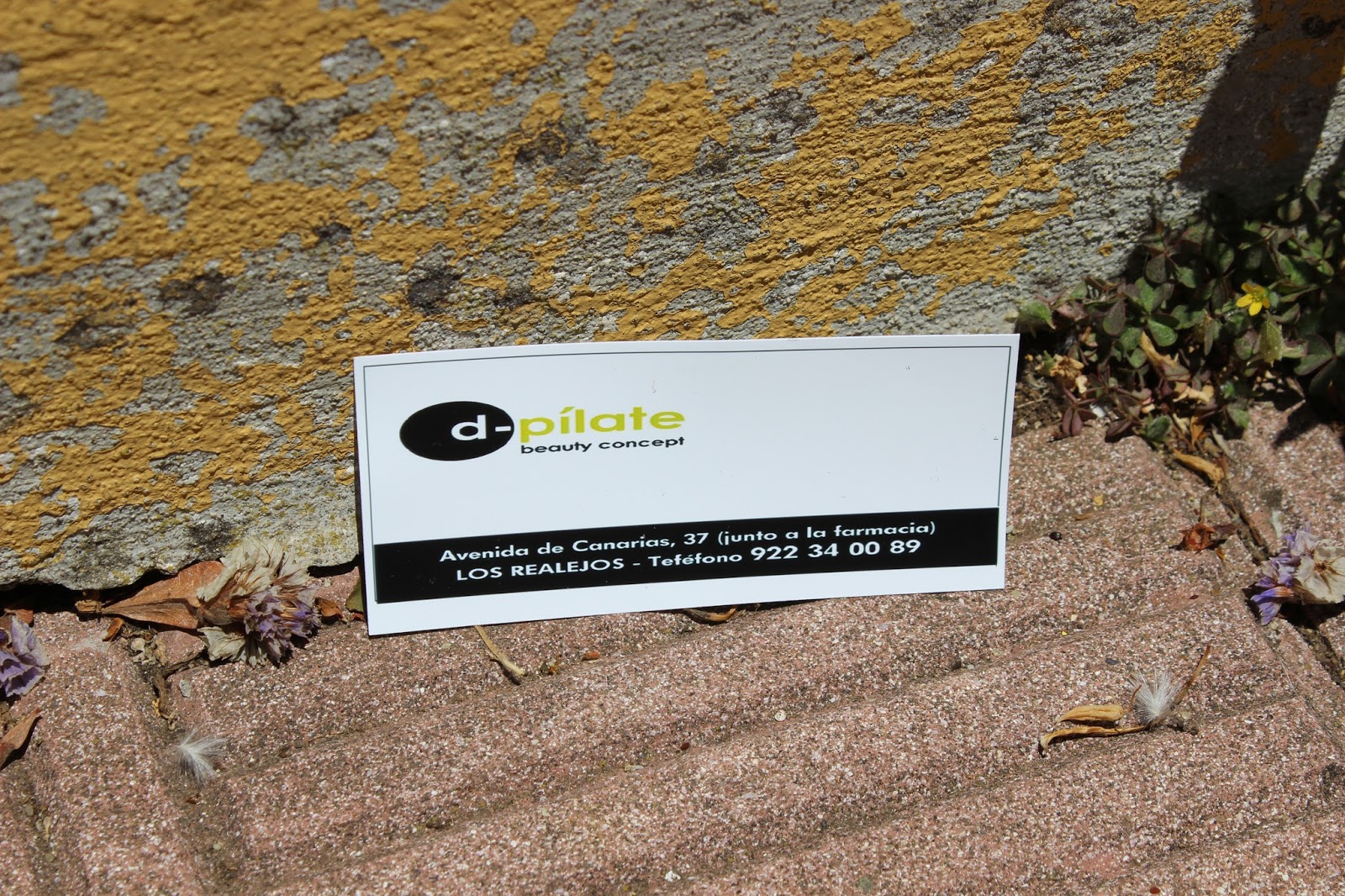 ♡LetiihCullenYT♡;: I DESAYUNO BLOGGERS DE TENERIFE