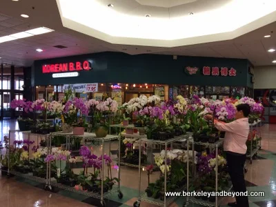 orchid stand at Pacific East Mall in Richmond, California