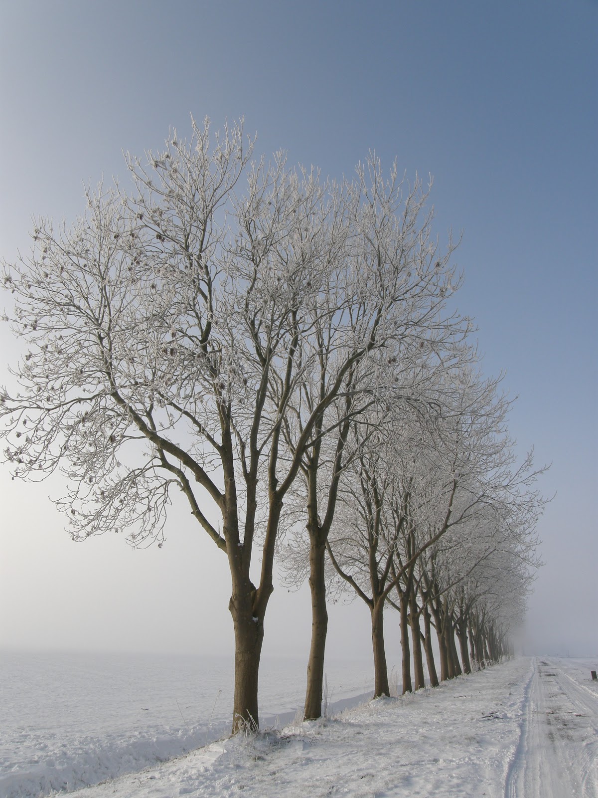 Van Zweedse bodem: - 19 graden Celcius in beeld