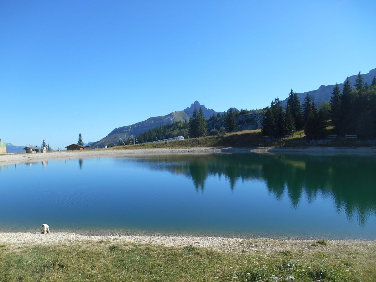 Lac De La Moucherolle Depuis Les Glovettes JOGGING CLUB PORTOIS: La grande Moucherolle