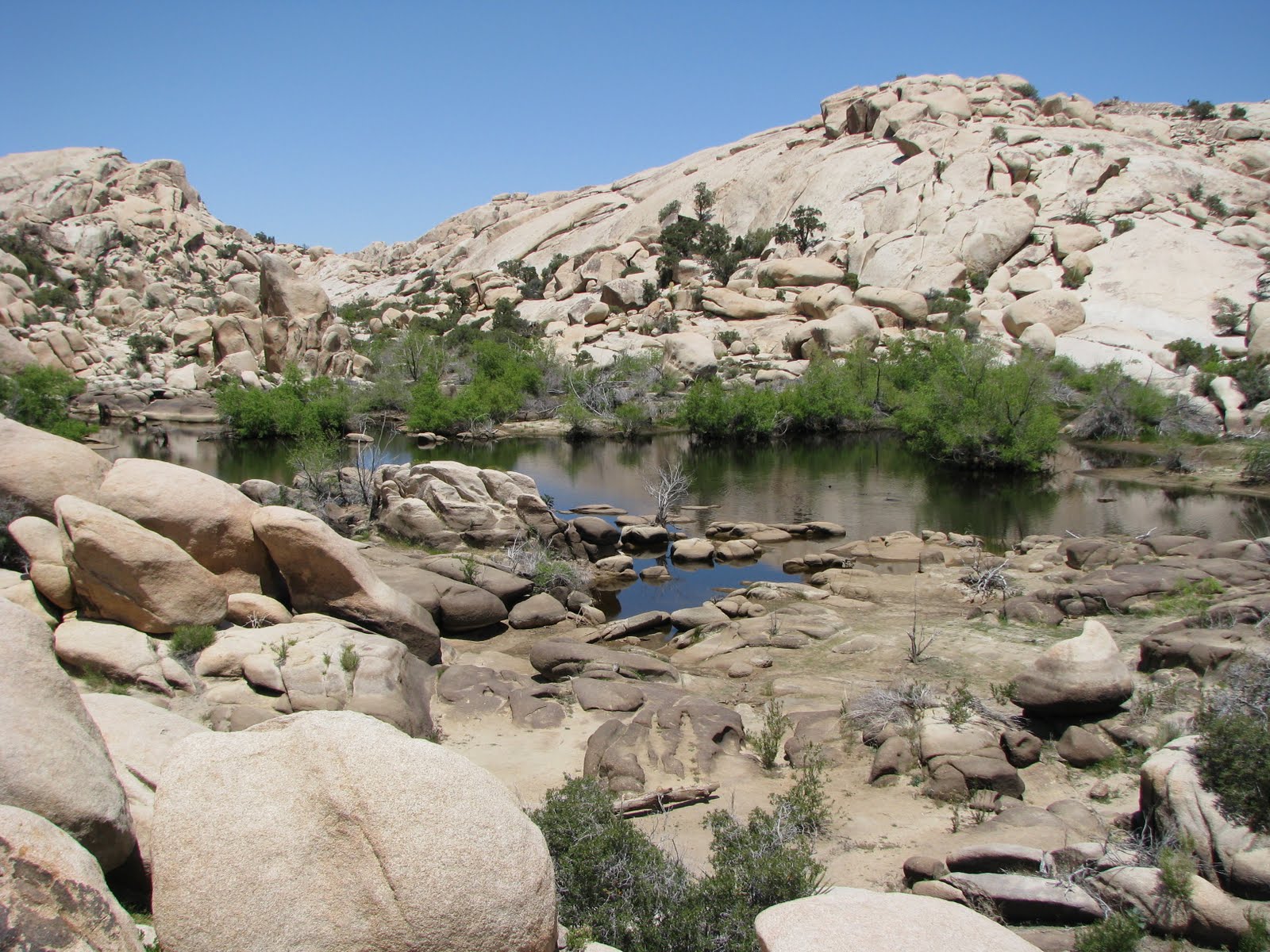 May 27, 2011 Desert Hot Springs, Palm Springs and Joshua Tree