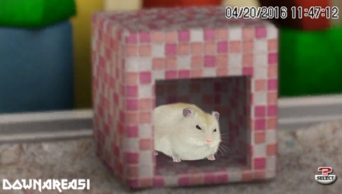 Petz Hamsterz Bunch PSP ISO Download Game PS1 PSP Roms
