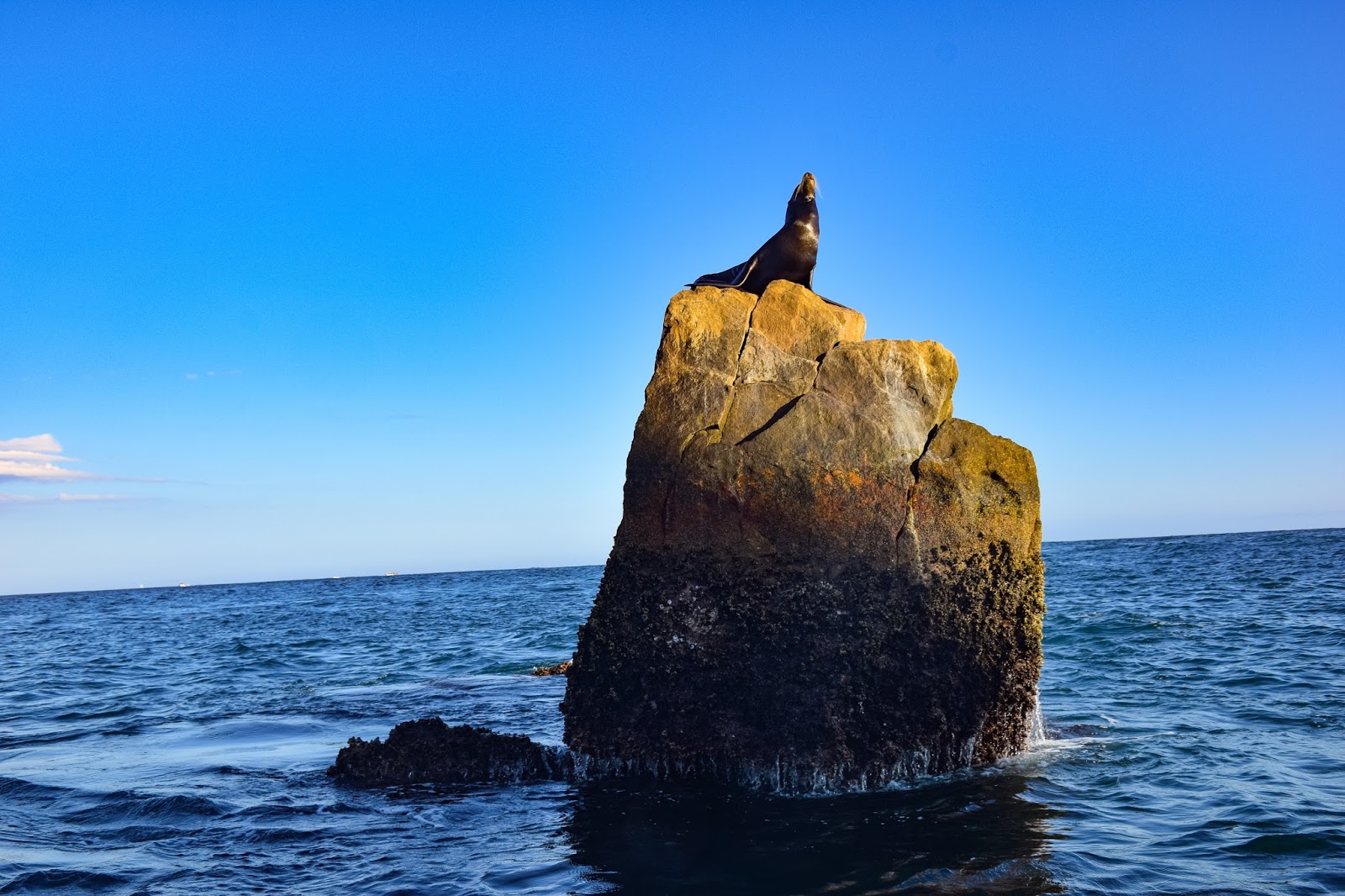 los cabos