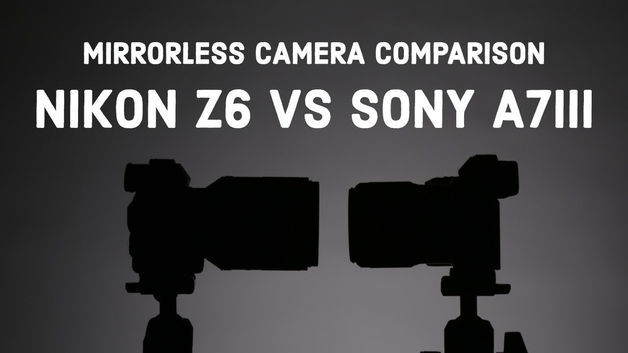 Nikon Z6 vs Sony A7III 2019 Mirrorless Camera Comparison
