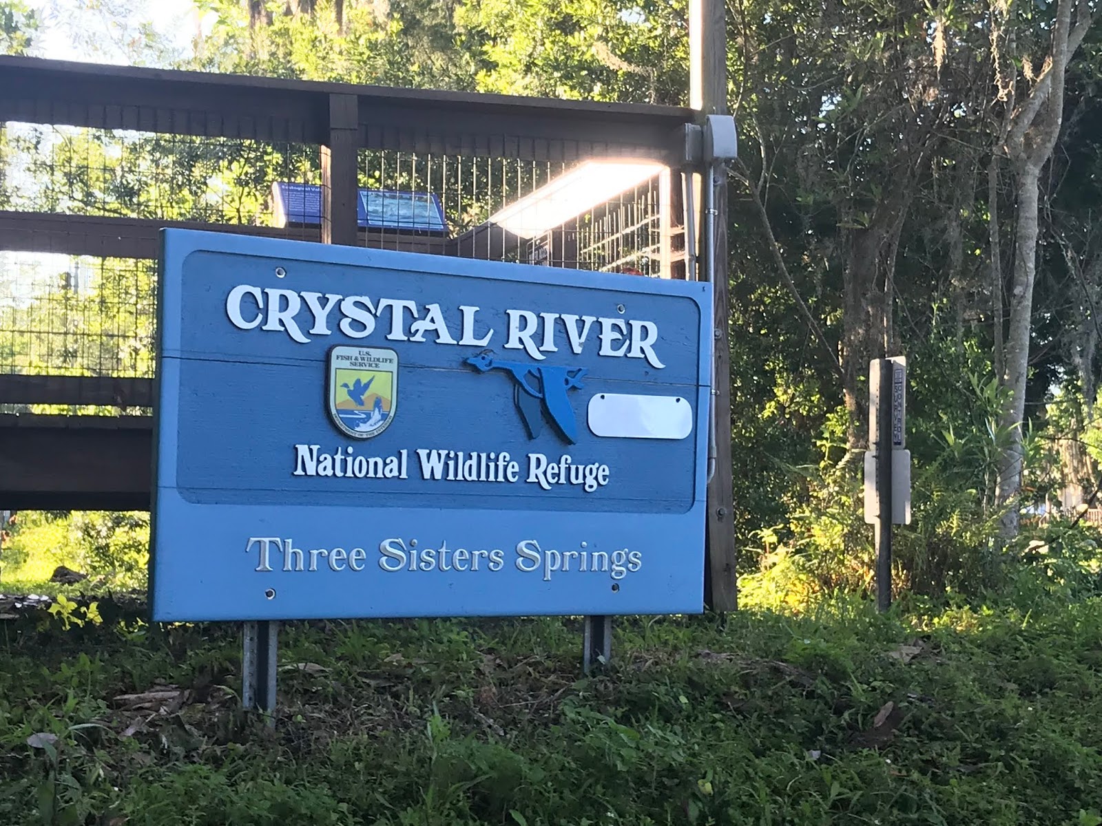 Making Restorations: Manatee Kayaking in Crystal River Florida