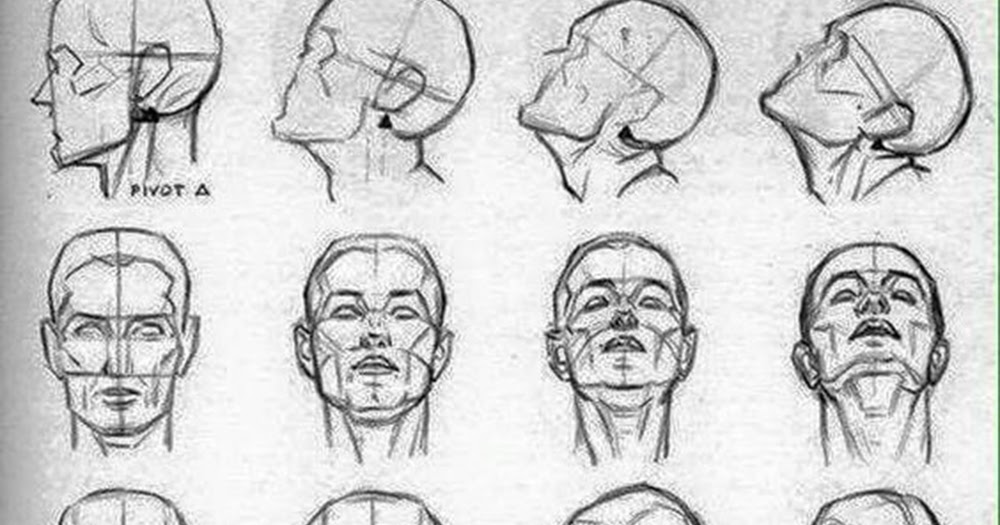 The Expressive Figure: Action of the Head and Neck