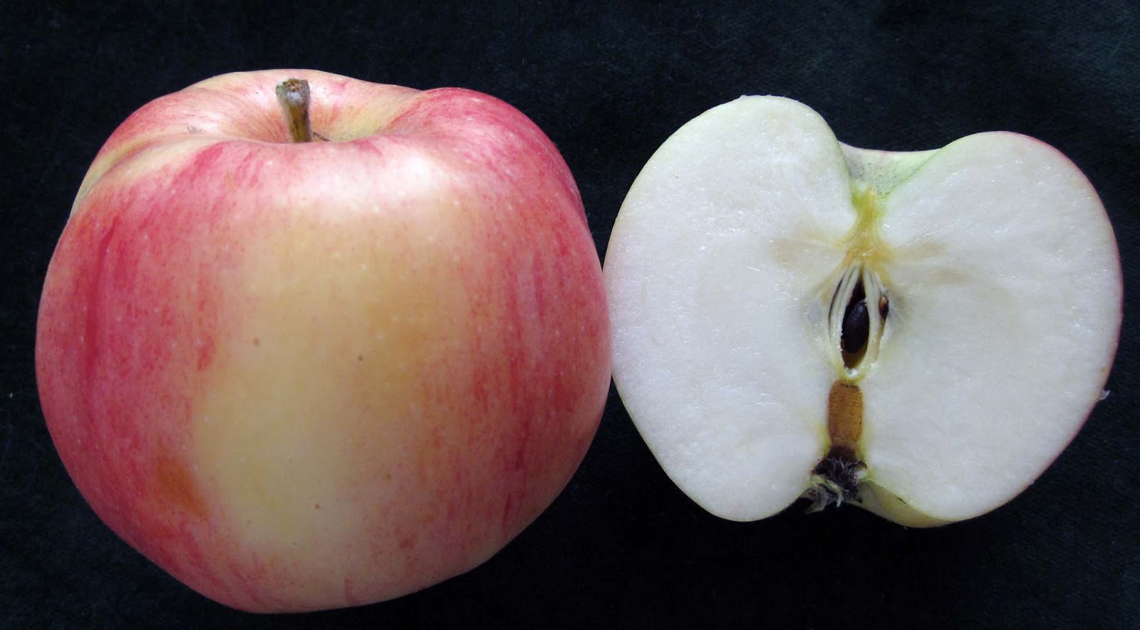 Letters from Shenanigan Valley Idaho HERITAGE (HEIRLOOM) APPLES