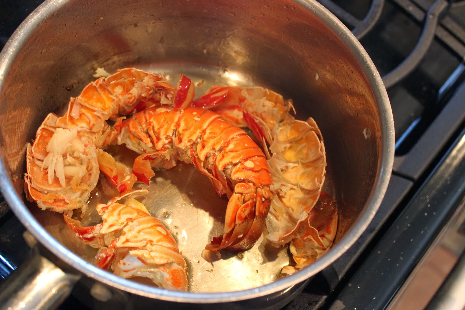 Comfy Cuisine Home Recipes from Family & Friends Vineyard Lobster Bisque