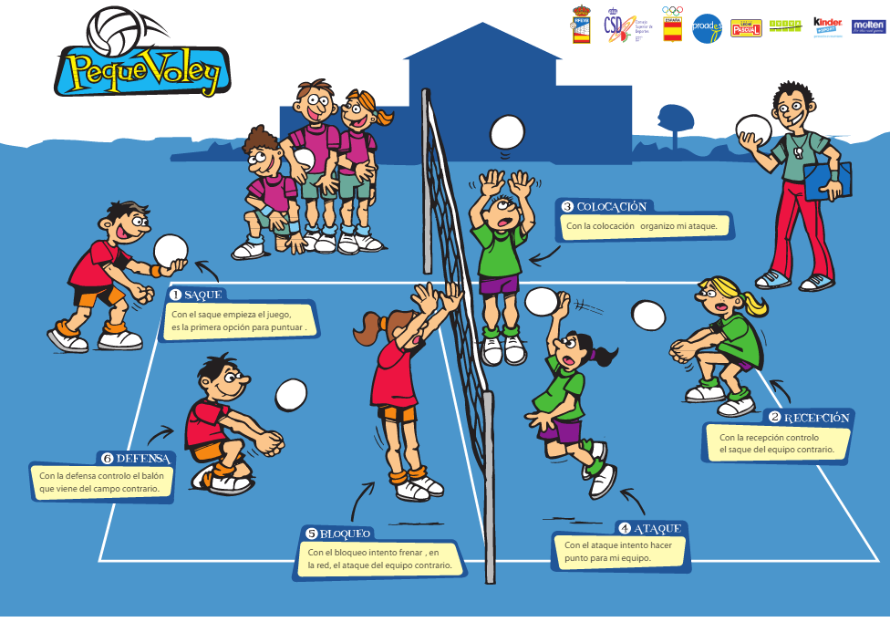 JUGADAS BÁSICAS, TÉCNICAS Y GESTOS EN VOLEIBOL EDUCACIÓN FÍSICA ACTUAL