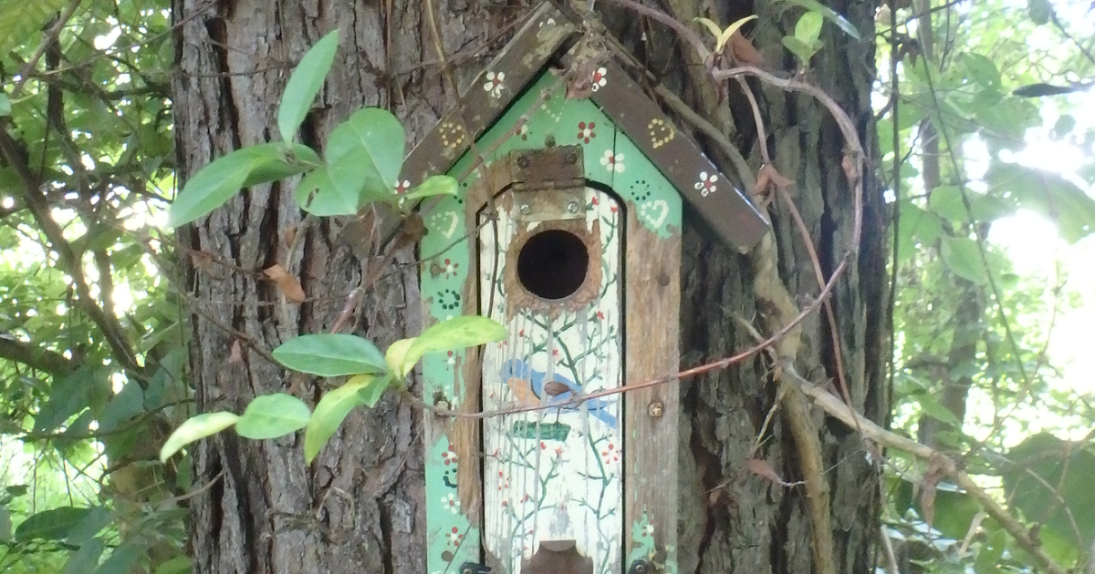 Geocache Bird house 5
