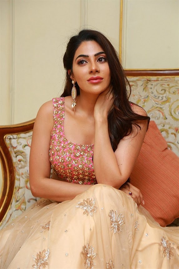 Nikki Tamboli hot navel pics