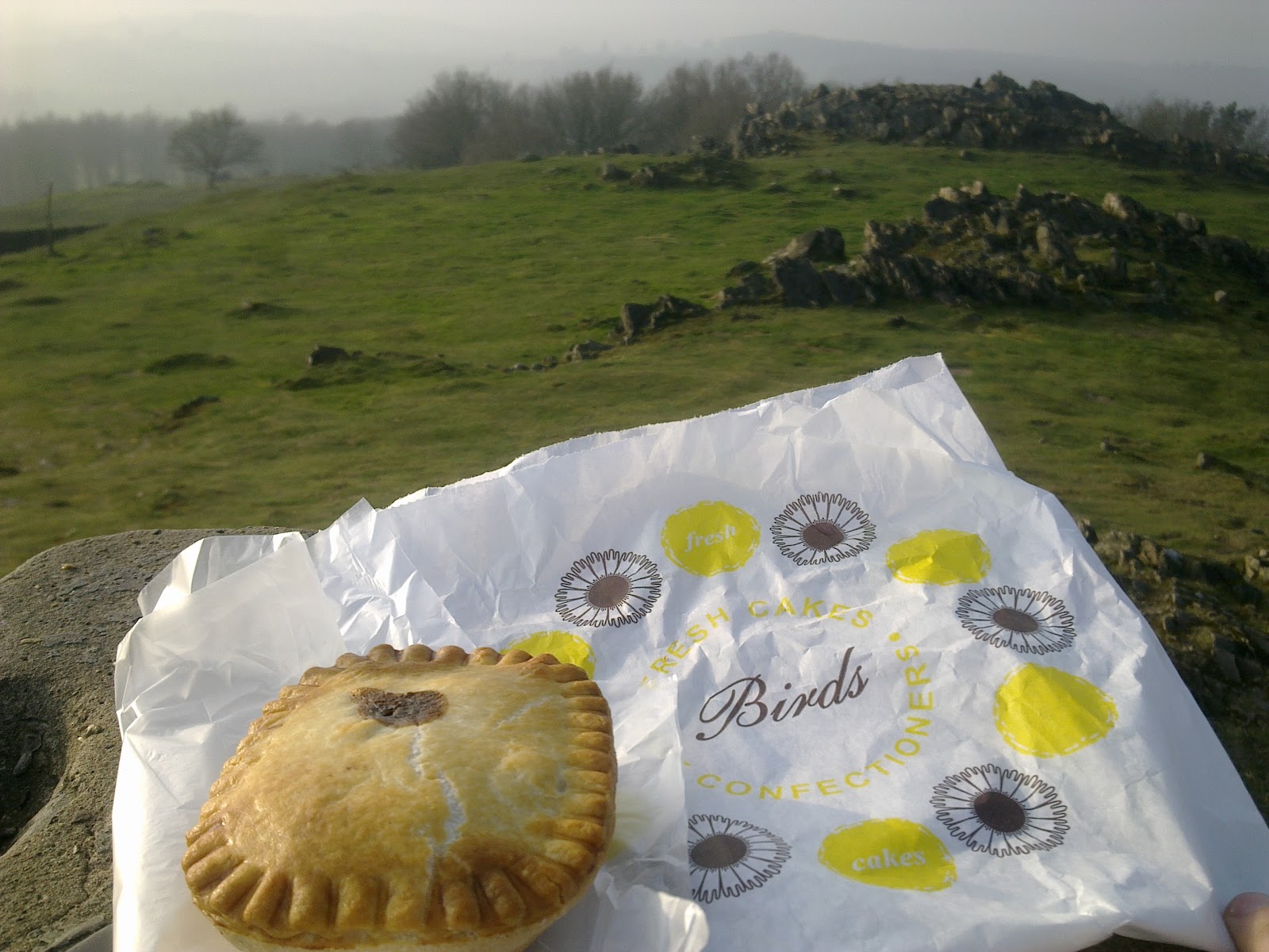 Pierate Pie Reviews A Birds pie in the hand is worth eating on the hill