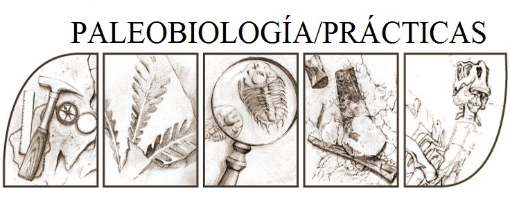 Resultado de imagen para PaleobiologÃ­a