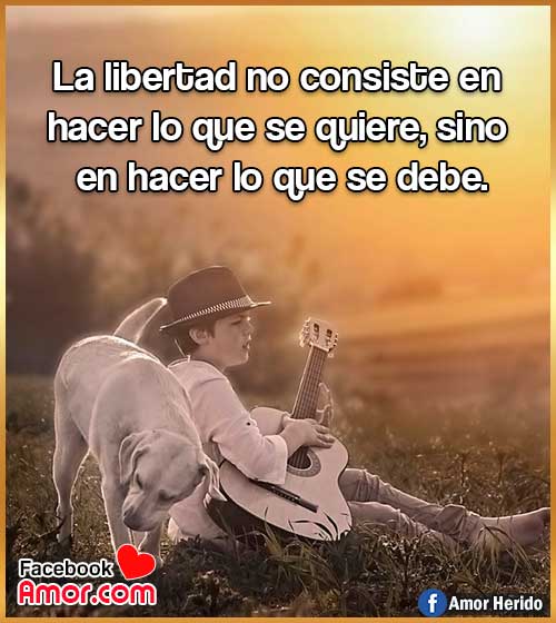 frases hermosas sobre la libertad frases hermosas sobre la libertad
