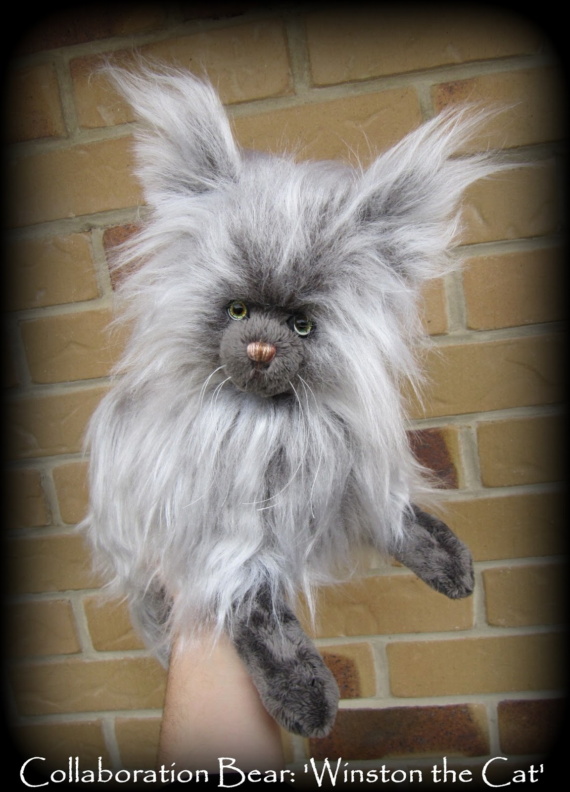 Cats Types: New Cat Breed