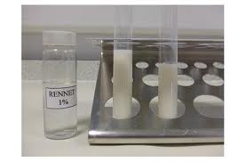 CHEESE RENNET: Rennet Enzymes