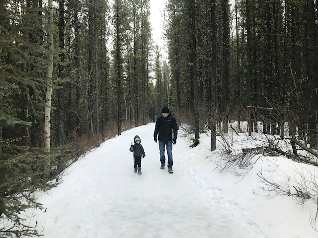 Troll Falls Family Friendly Hike, Alberta