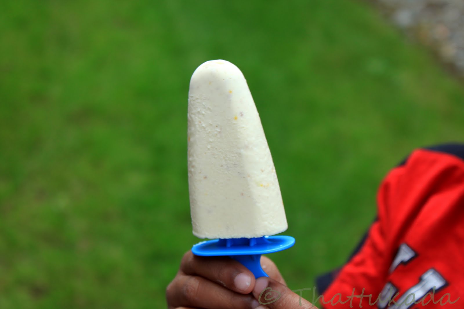Thattukada: Kaju Badam Kulfi (Cashew Almond Icecream)