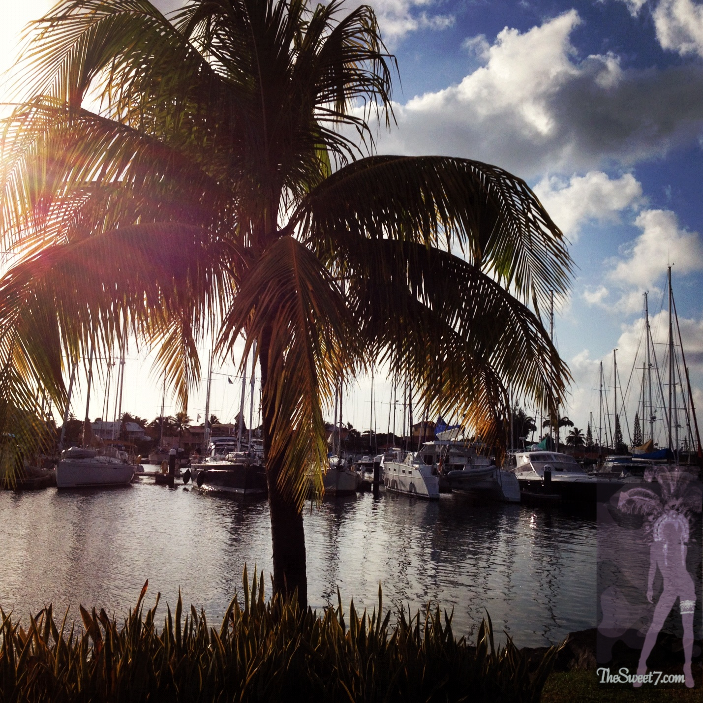 My St.Lucia 2012 Christmas Chronicle (Photos) The Sweet 7