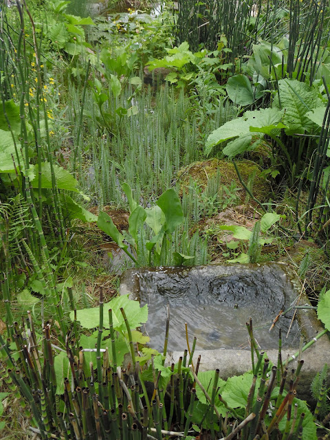 woda mini w ogrodzie