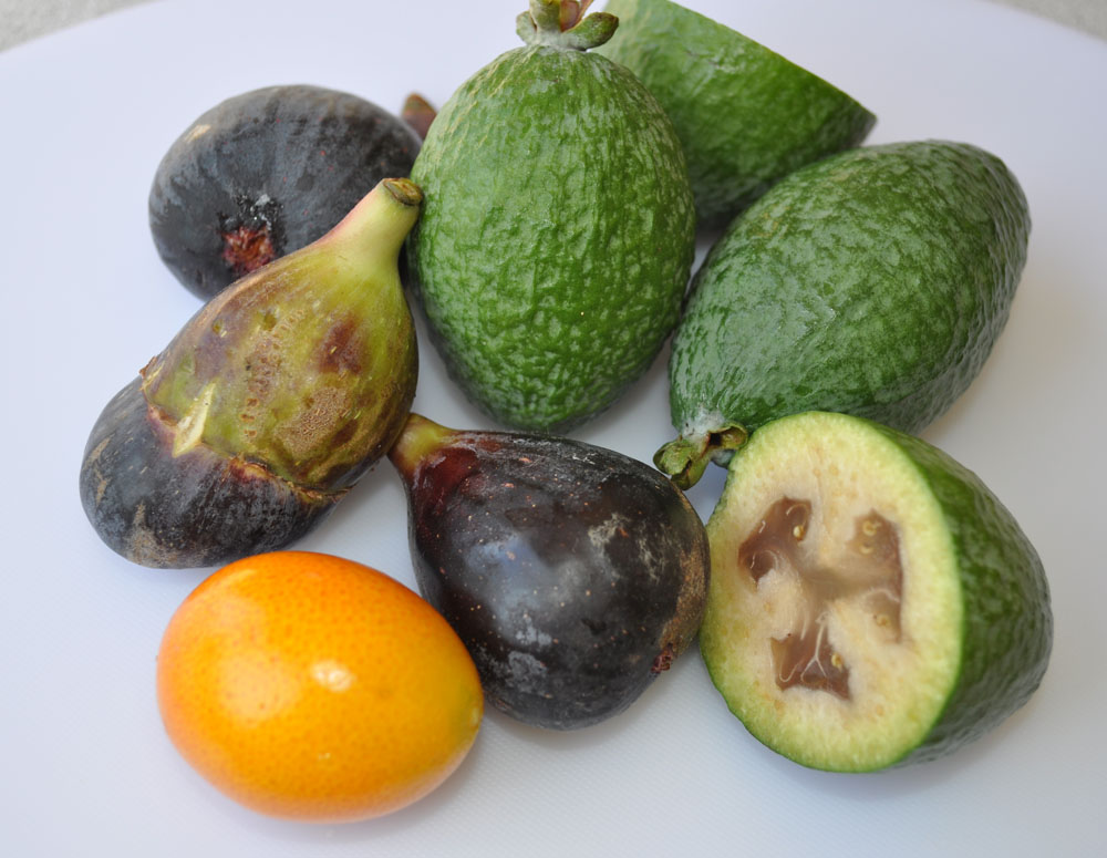 Jessie S Aromalife What Fruit Is This Jessie S Aromalife What Fruit Is This