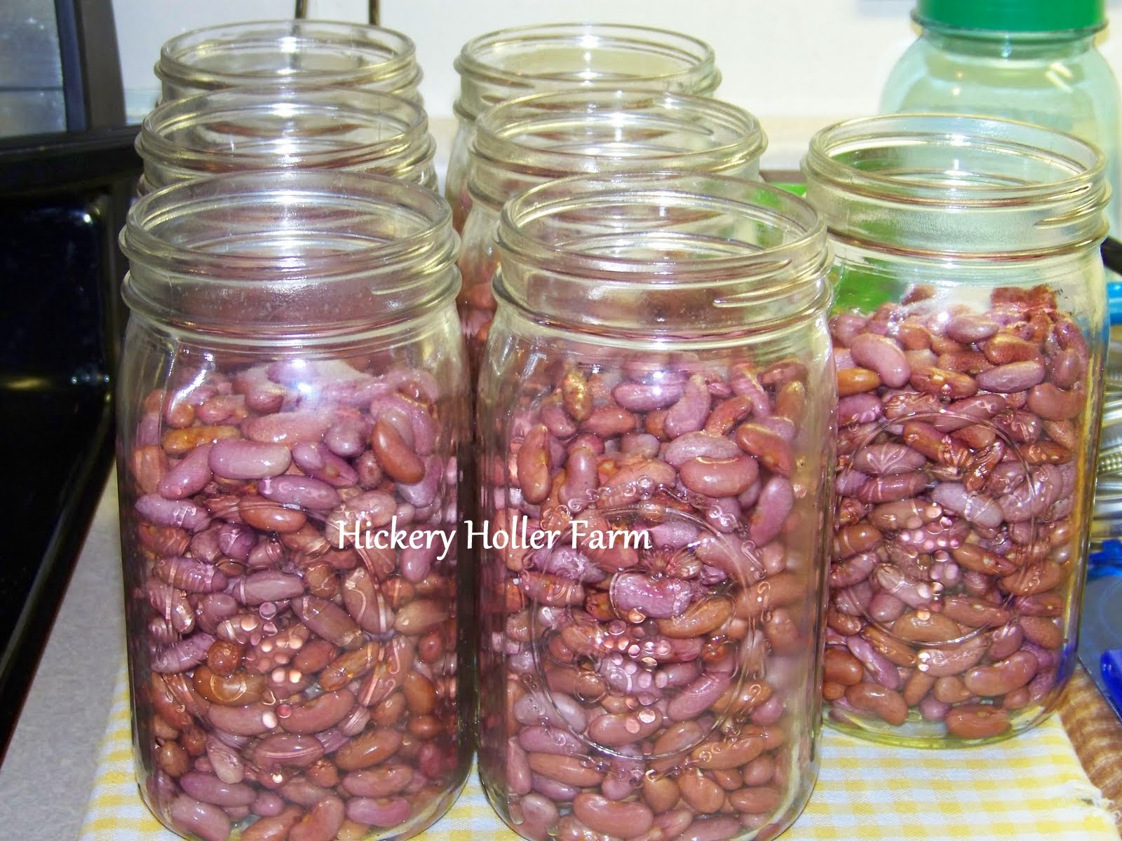 Hickery Holler Farm Canning Red Beans