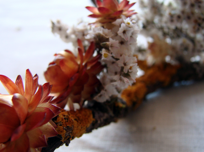 Addobbi Per Matrimoni - Rieti - Garden Piante E Fiori