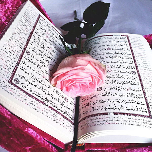 صور للقران
