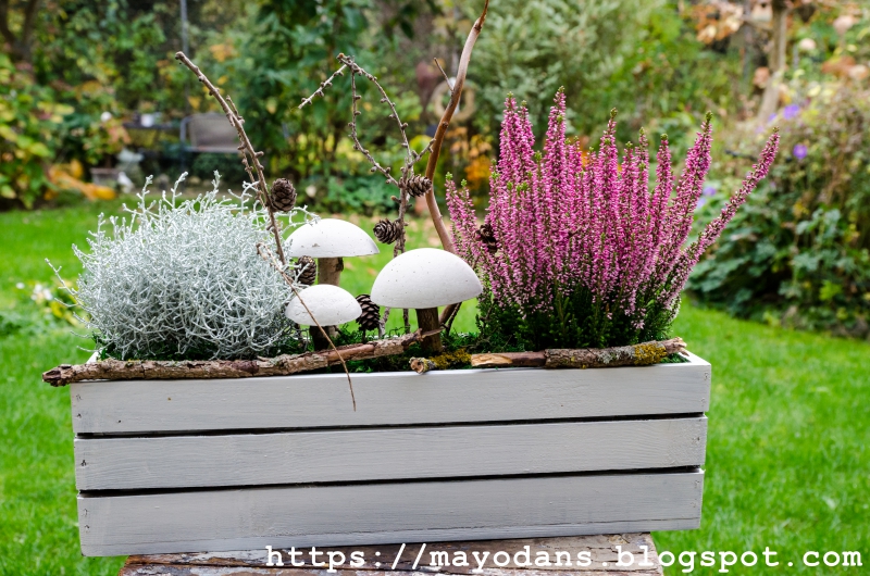 DIY Betonpilze für herbstliche & winterliche Blumenkästen auf der